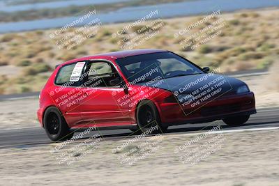 media/Oct-24-2025-Doghouse Garage (Fri) [[783d2ff07a]]/1-Advanced/Session 2 Turn 5 Tree of Life/